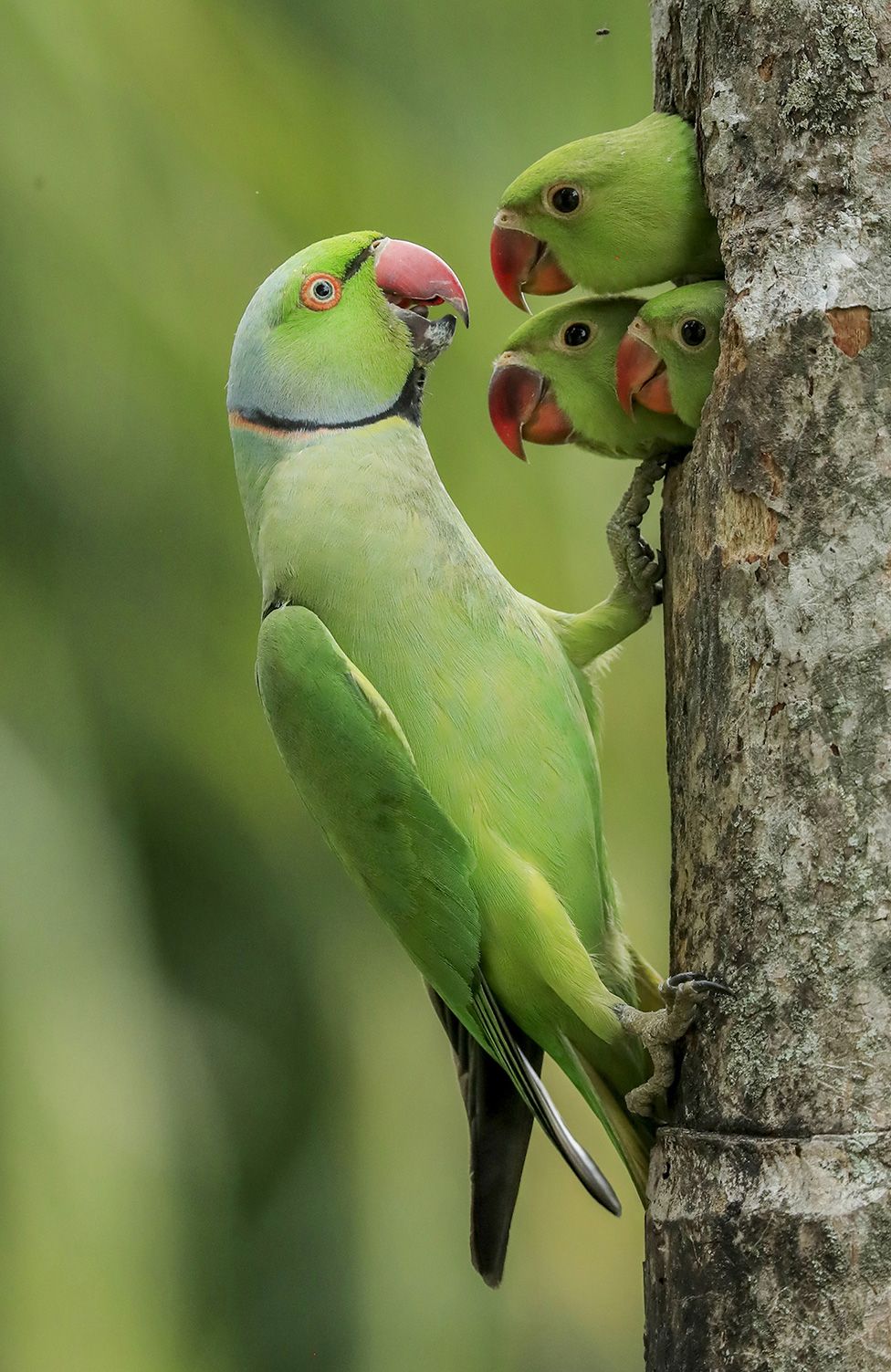  120344816 gagana mendis wickramasinghe wpy